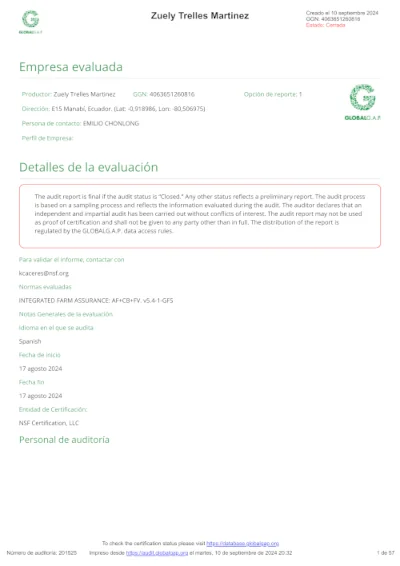Audit report GG Zuely Trelles